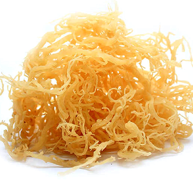 DRIED EUCHEUMA COTTONII / IRISH MOSS / SEAMOSS WITH LOWEST MOISTURES FROM VIETNAM