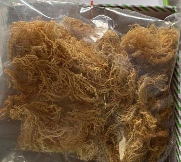 DRIED EUCHEUMA COTTONII / IRISH MOSS / SEAMOSS WITH LOWEST MOISTURES FROM VIETNAM