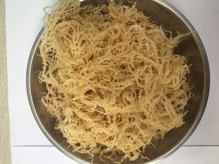 DRIED EUCHEUMA COTTONII / IRISH MOSS / SEAMOSS WITH LOWEST MOISTURES FROM VIETNAM