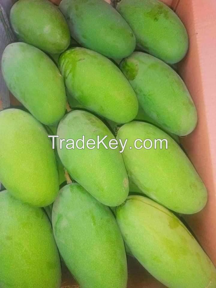 Pakistani Origin Fresh Mangoes