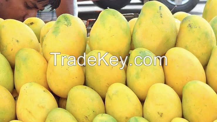Pakistani Origin Fresh Mangoes
