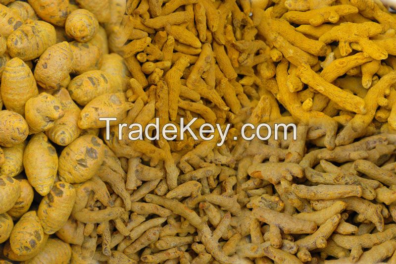 turmeric fingers