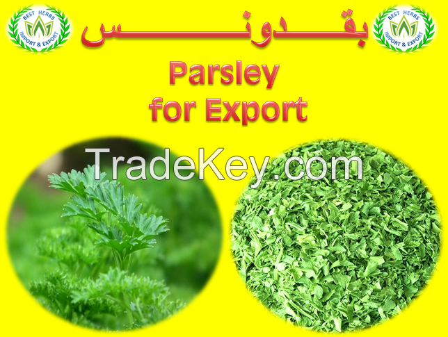  Dried Parsley for export 