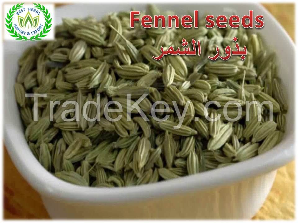 fennel for export 2021