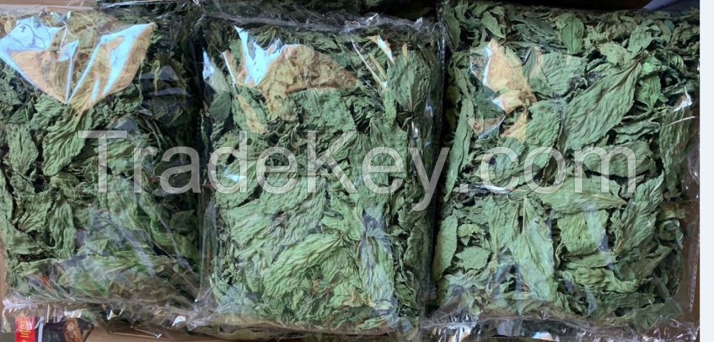 Molokhia Dried leaves  for export production 2023