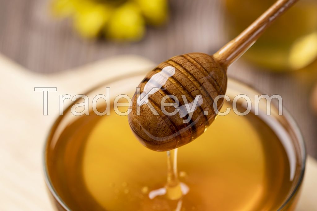 Honey - Apis Mellifera