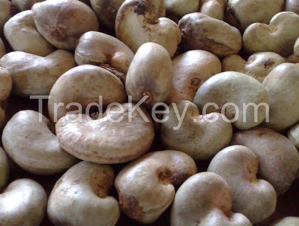 Cashew Nuts