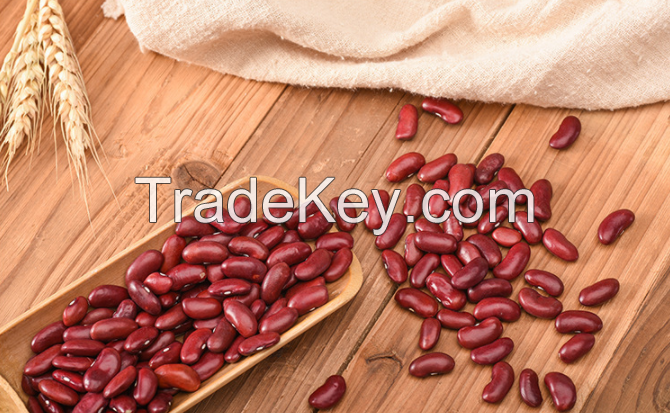 Wholesale supply dark red Kidney Beans high quality good price health Organic bulk Red Kidney Beans