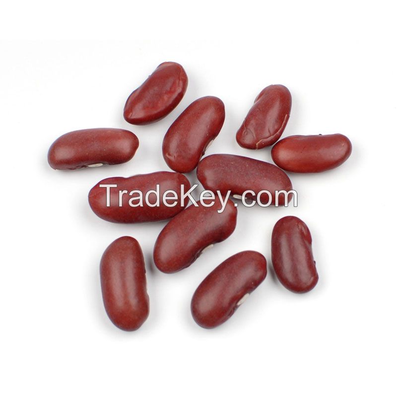 Wholesale supply dark red Kidney Beans high quality good price health Organic bulk Red Kidney Beans