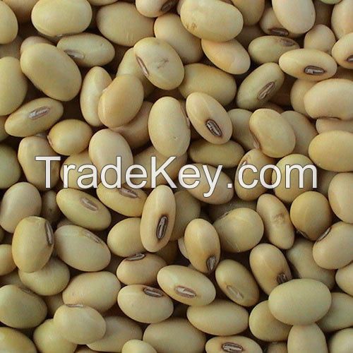 Soybeans