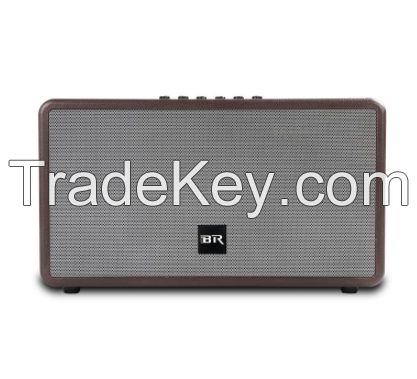 Bluetooth live Speaker dual portable speaker for indoor party
