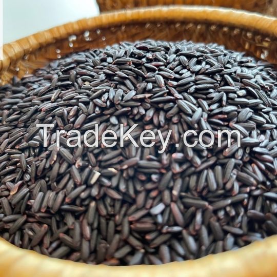 ORGANIC BLACK BROWN RICE, HIGH QUALITY VIETNAMESE GOODS, BEST SELLER IN 2021/ WA: +84352310575