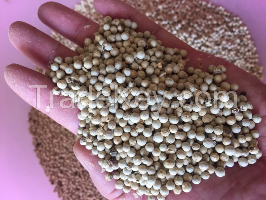 WHITE PEPPER 630G/L DOUBLED WASHED/ KATE +84352310575