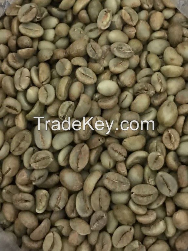 Robusta Green Bean Coffee