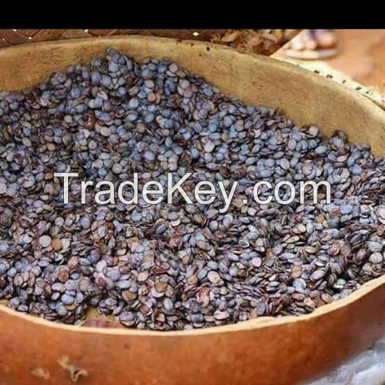 Dry locust beans 