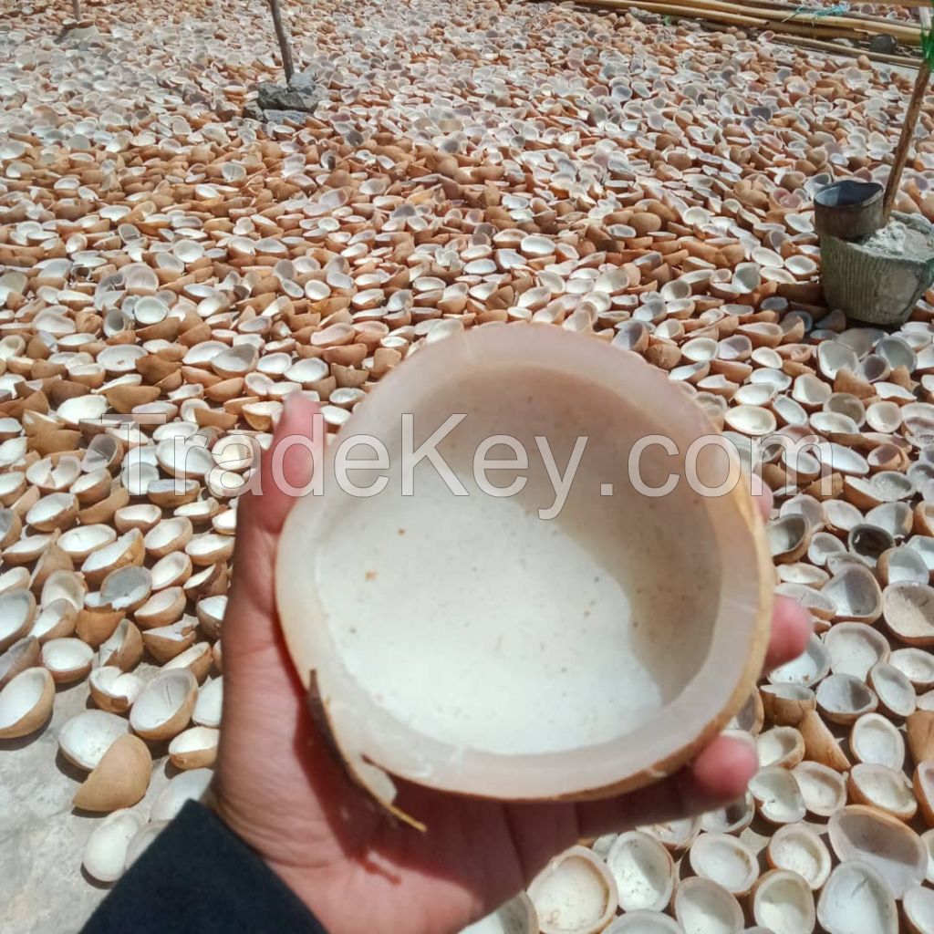 Coconut Fiber, Semi-husked Coconut, Coconut Charcoal, Coconut Copra