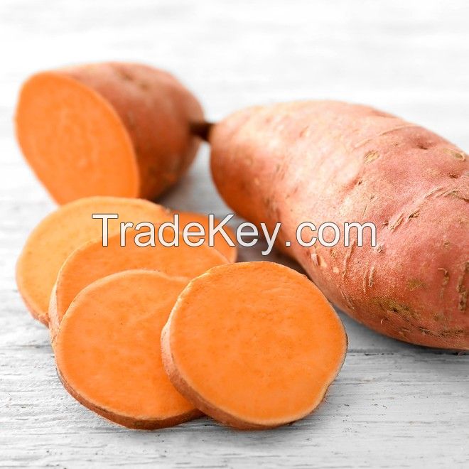 FROZEN ORANGE SWEET POTATO WITH HIGH QUALITY FROM VIETNAM