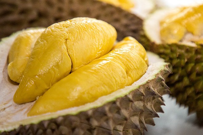 FROZEN DURIAN WITH HIGH QUALITY FROM VIETNAM