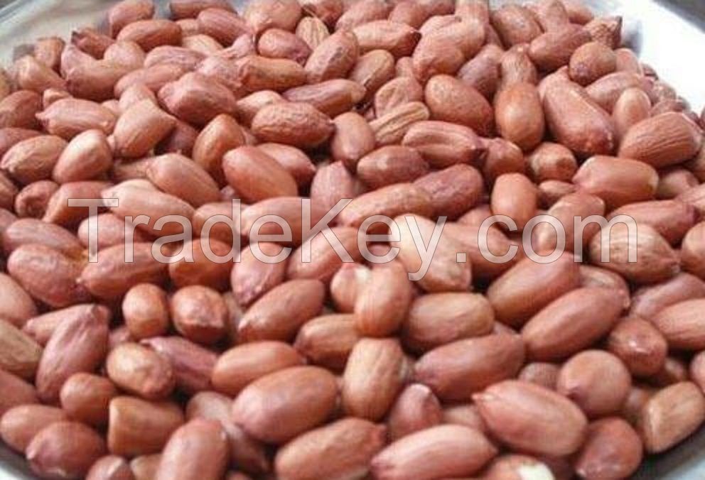 Red Kidney Beans