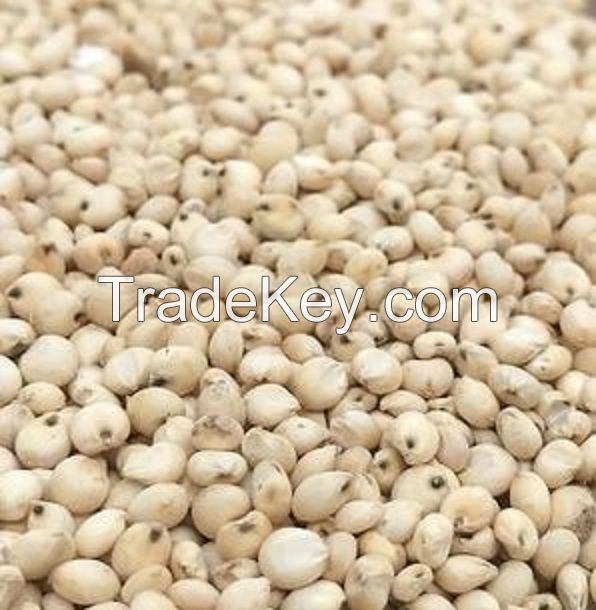 Natural White Sorghum Millet