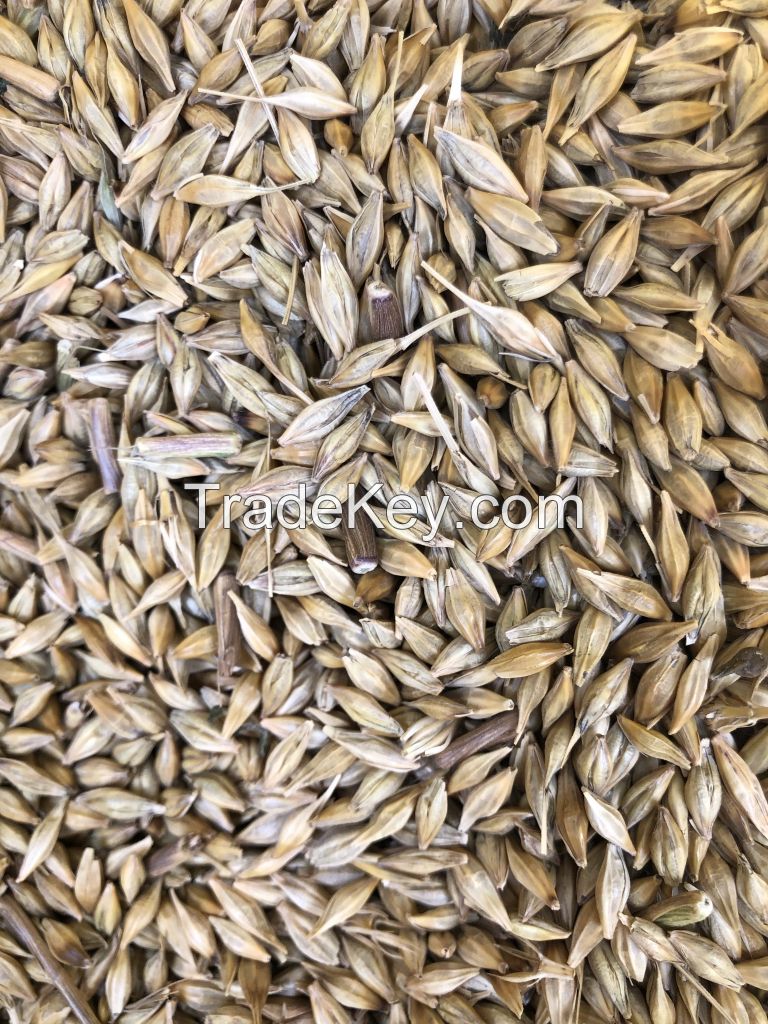 Barley Ukraine origin containers shipment
