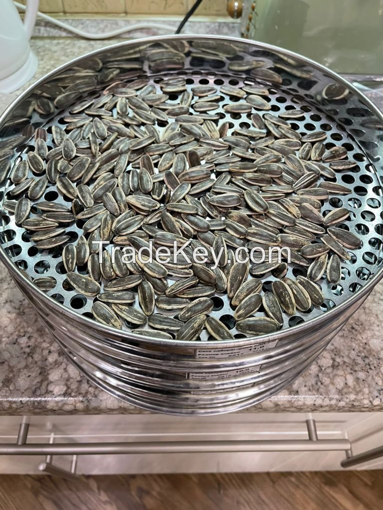 Sunflower seeds type 361 Ukraine origin