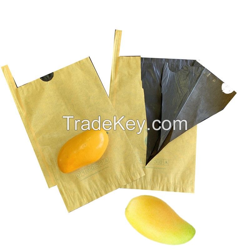 Double Layers Mango Fruit Protection Bags for Sale