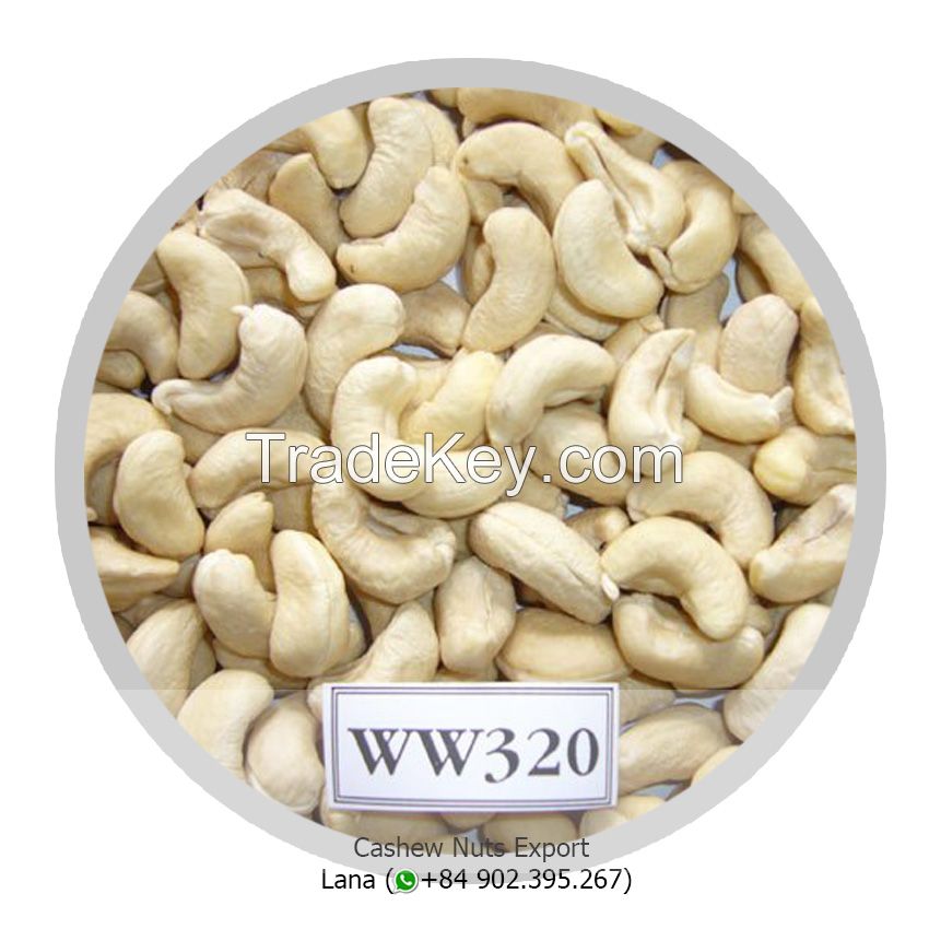 Cashew Nuts WW320 WW240 Origin Vietnam 
