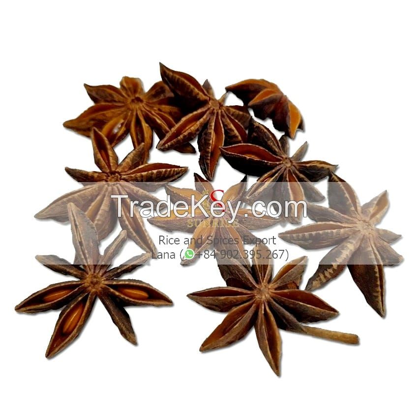 Whole Star Anise from Vietnam Supplier