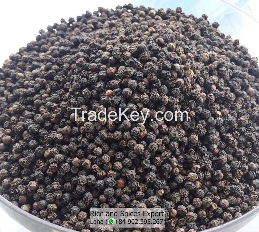 Black Pepper 500GL 550GL Cleaned from Vietnam