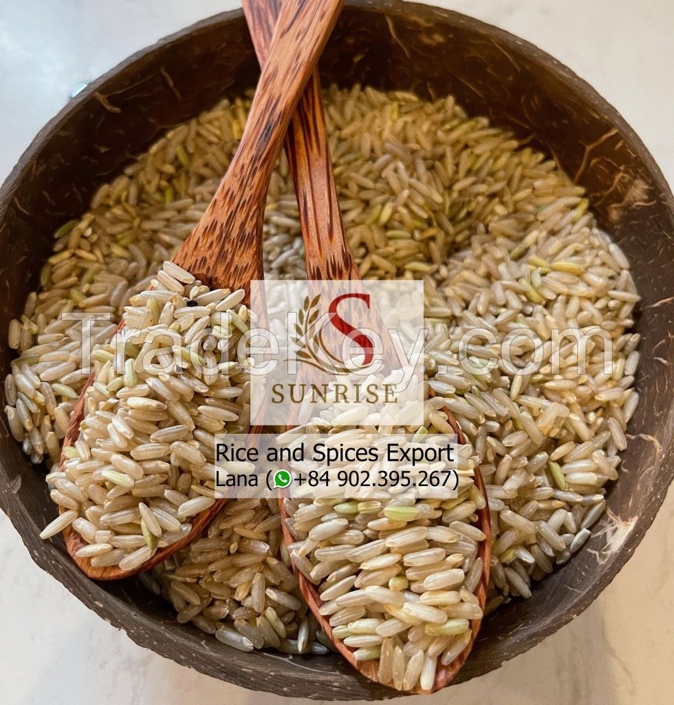 Best Brown Rice from Vietnam Supplier 