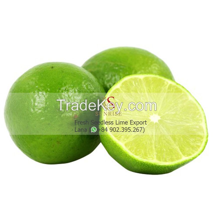Fresh Lime Citrus Fruit from Vietnnam 