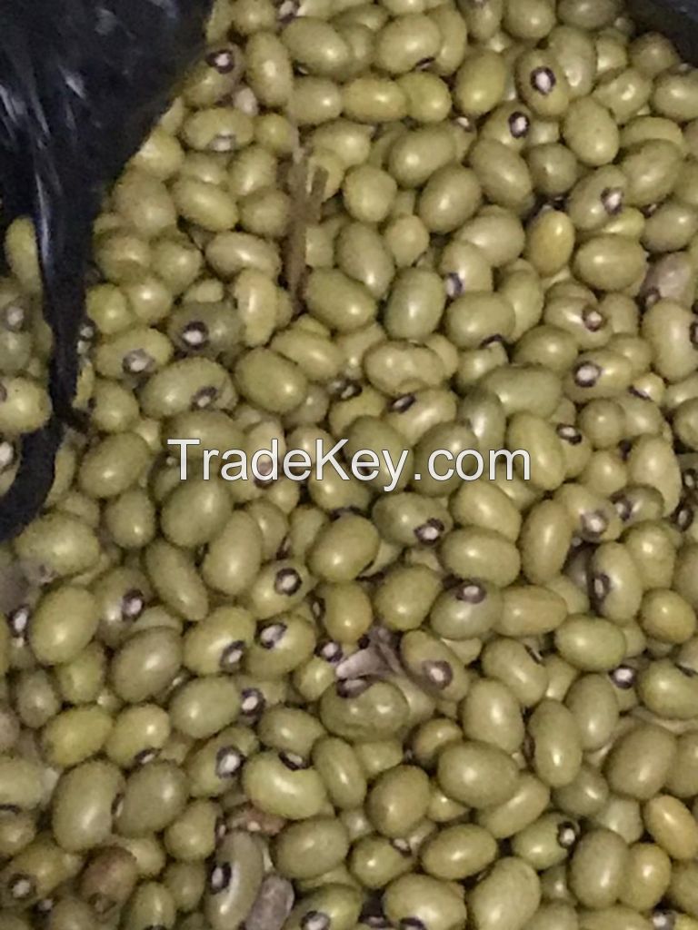 Mung Beans