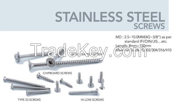 Stainless Steel Screw