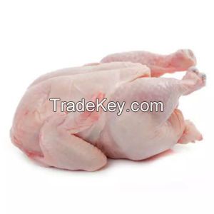 Quality Certified HALAL Frozen Whole Chicken / Frozen Chicken Pieces / Frozen Chicken products