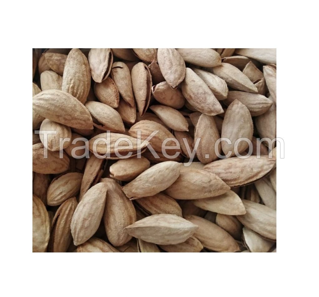 Wholesale 25 kg organic dried  Almond nuts natural almond