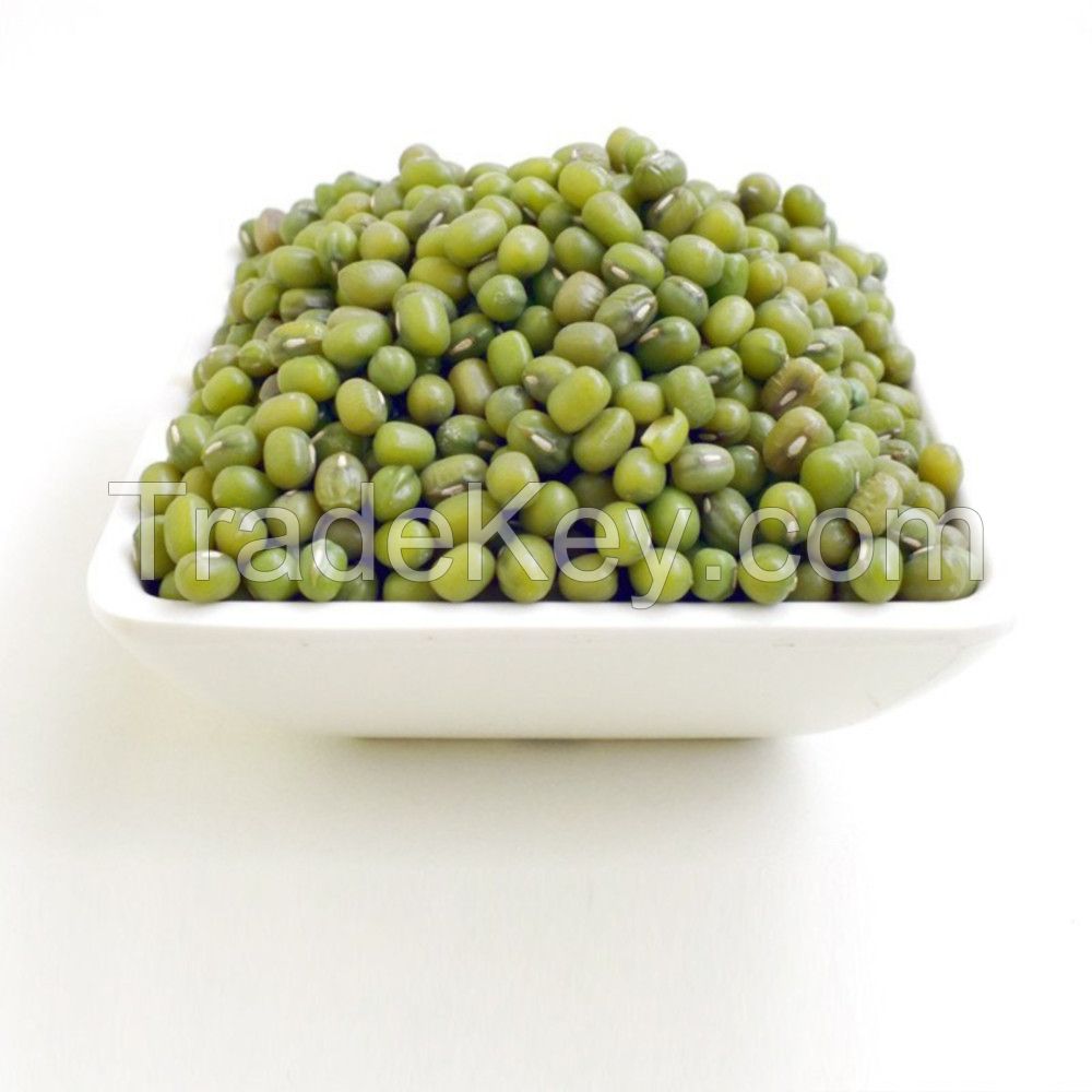 Wholesale Premium Quality Green Mung Beans Medium Grains vigna beans the northeast export mung bean