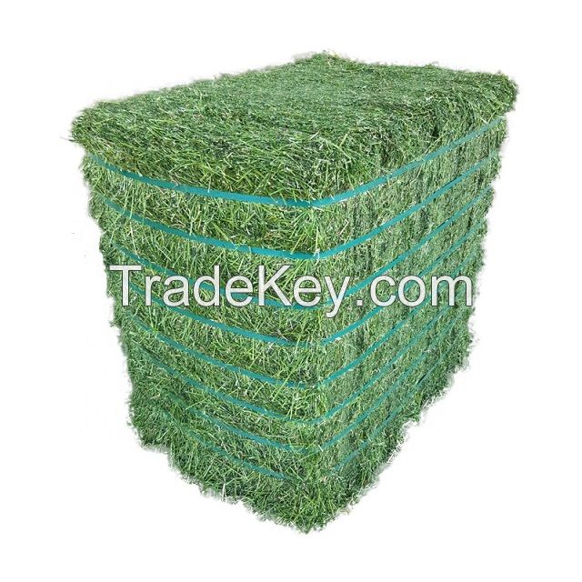 Alfafa Hay Animal Feeding Stuff Alfalfa, hay/alfalfa hay pellets Timothy Hay/ Alfafa in Bales Best Super Top Quality