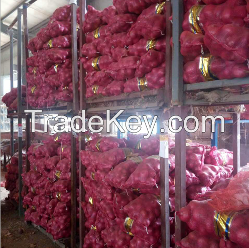 Best Quality Wholesale cheap Price Fresh Red Onion