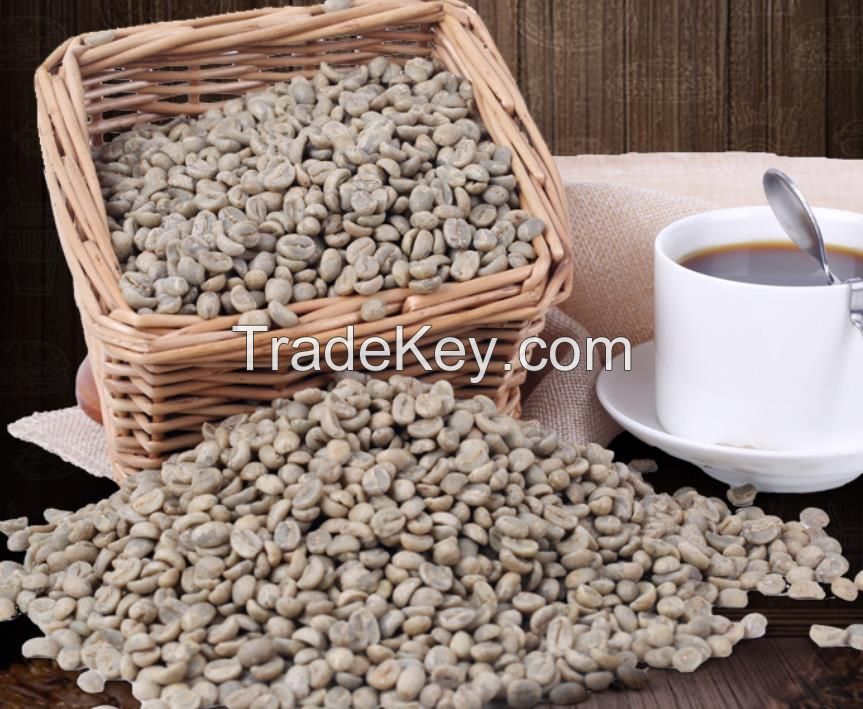 Wholesale Natural dried raw Coffee beans unprocessed Coffea arabica seeds