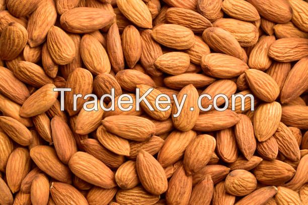 Best Quality 100% Natural roasted almond nuts californian almond nuts raw tanzania almond butter raw wholesale with best price