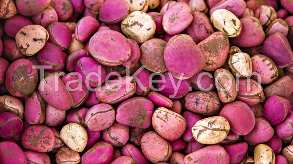 kola nuts