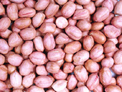 Sell Peanut Kernels(round Type)
