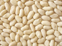 Sell Blanched Peanut Kernels(long Type)