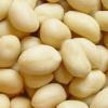 Sell Blanched Peanuts