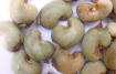 Sell Cheap Cashew Nut | Wholesale Cashew Nut | Discounted Cashew Nut | Bulk Cashew Nut | Cashew Nut Suppliers | Cashew Nut Exporters | Cashew Nut Manufacturers | Cashew Nut Buyer | Import Cashew Nut | Cashew Nut Importers | Cashew Nut Buyers