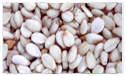 Sell white sesame seeds