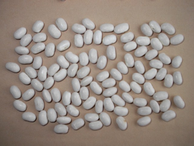 Sell light speckled kidney beans and white beans