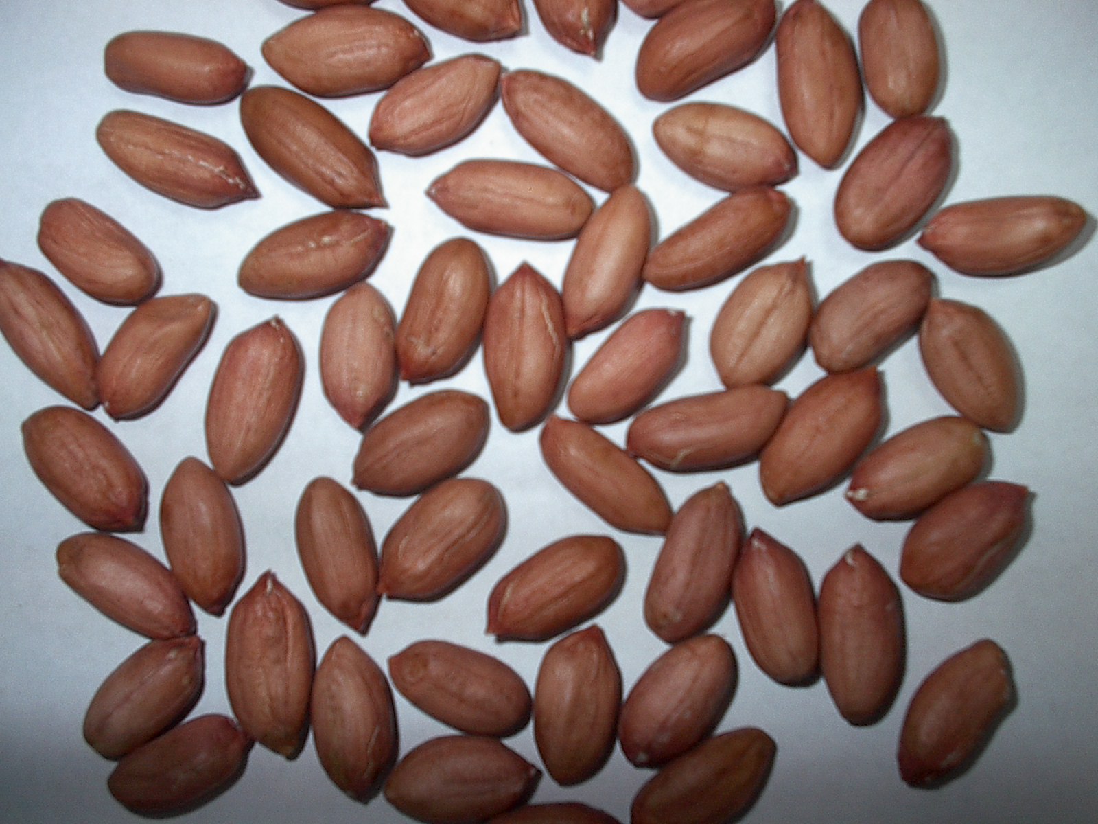 Sell light speckled kidney beans and white beans