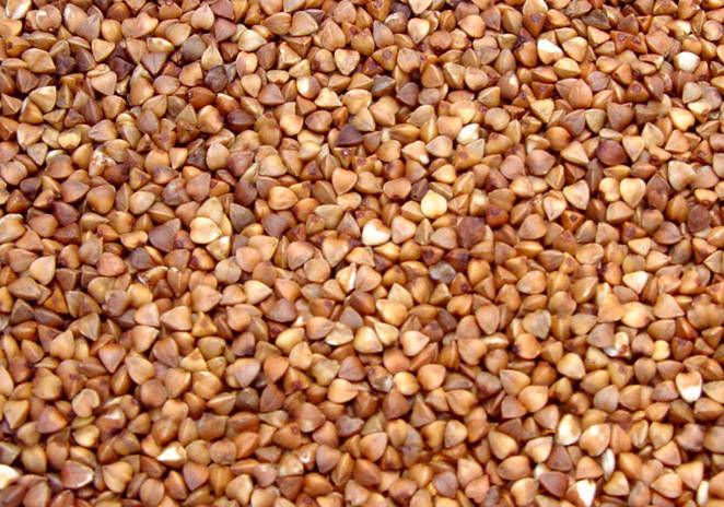 Sell Roasted Buckwheat Kernel